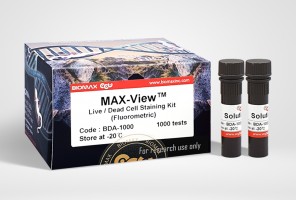 Max-View™ Live/Dead Staining Kit (Calcein-AM/PI)