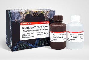 WestGlow™ PICO PLUS ECL Chemiluminescent Substrate