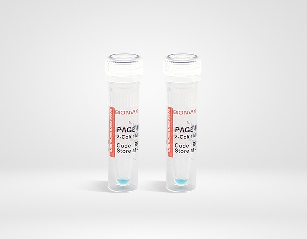 PAGE-Mark™ 3-Color Mid Range Protein Marker