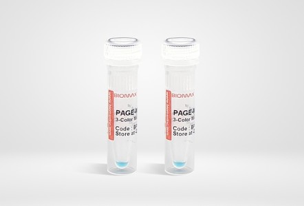 PAGE-Mark™ 3-Color Mid Range Protein Marker | Biomax.Ltd