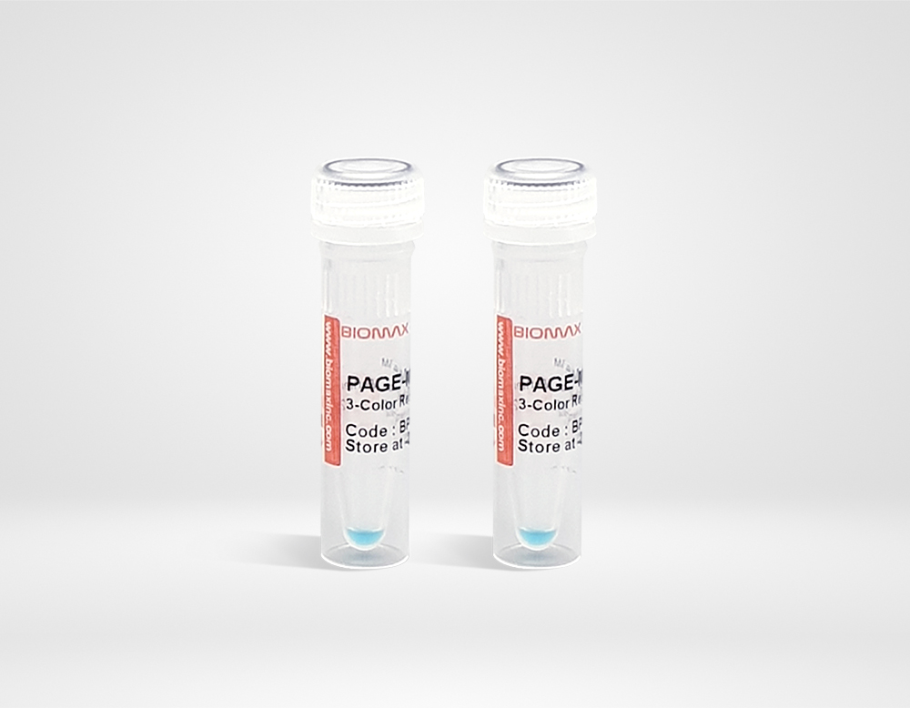 PAGE-Mark™ 3-Color Regular Range Protein Marker
