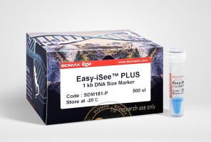 Easy-iSee™ 1Kb DNA Size Marker