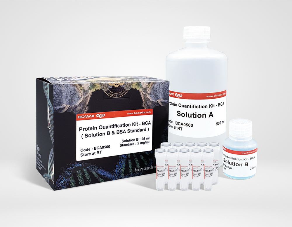 Protein Quantification Kit - BCA