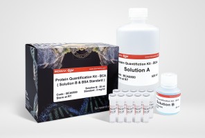 Protein Quantification Kit - BCA