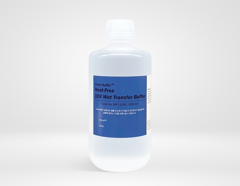 Smart-Buffer™ Heat-Free 10X Wet Transfer Buffer