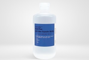 Smart-Buffer™ Heat-Free 10X Wet Transfer Buffer
