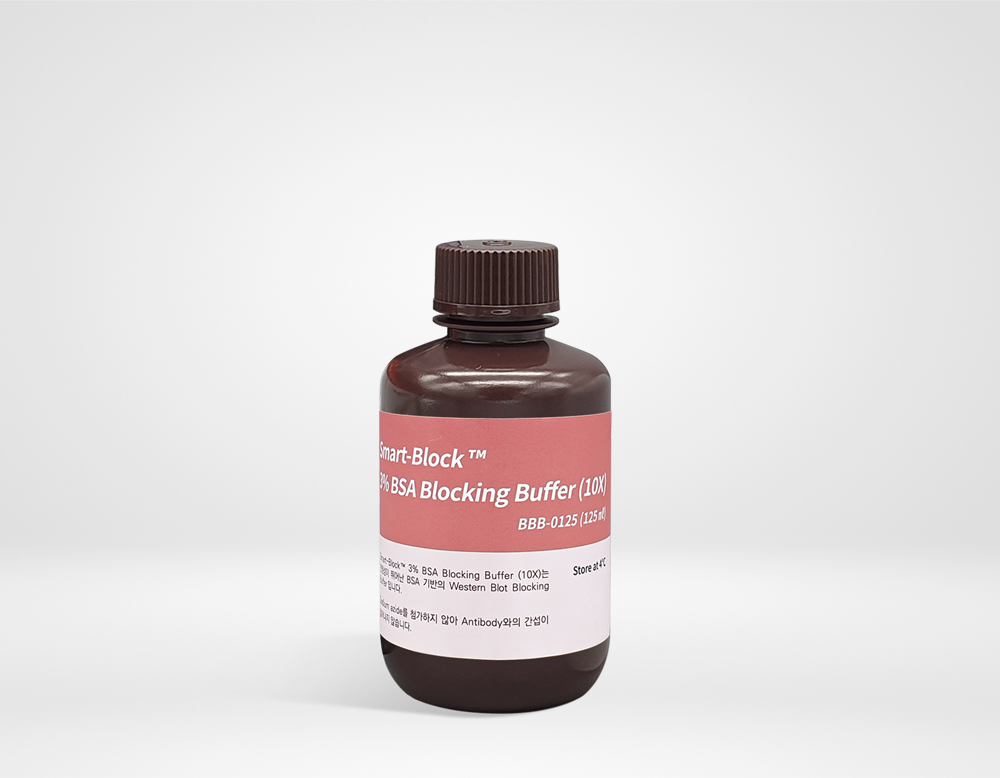 Smart-Block™ 3% BSA Blocking Buffer (10X)