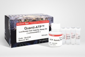 Quanti-ATP™ Luciferase Cell Viability Assay Kit
