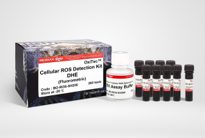 OxiTec™ Cellular ROS Detection Kit-DHE